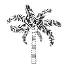 tree palm natural icon vector illustration design