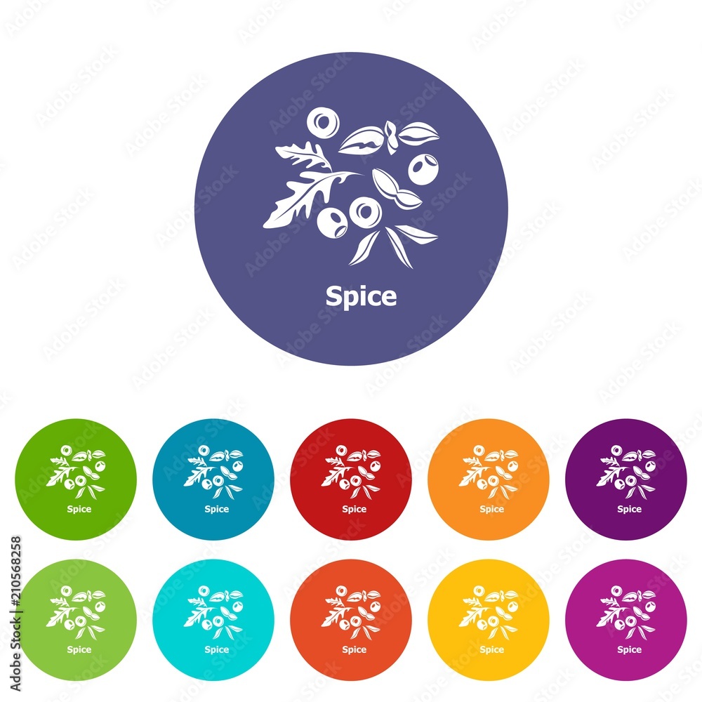 Poster Spice icons color set vector for any web design on white background