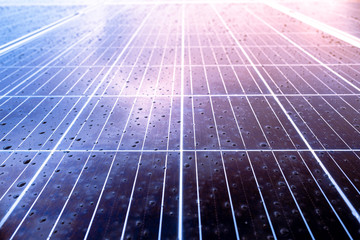 Selective focus thin DOF background of solar cell panels new alternative electric energy