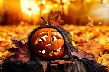 autumn thanksgiving 