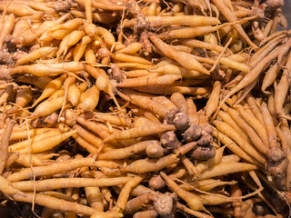 A top view of fresh brown color of ginger