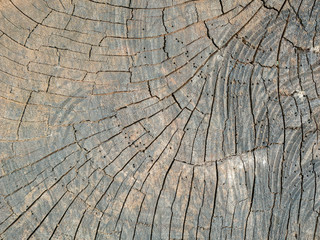 Fototapeta premium Closeup nature surface texture style of wooden, brick, wall , stone sheet 