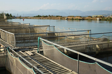 Fish farm on the river .