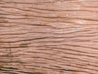 Closeup nature surface texture style of wooden, brick, wall , stone sheet 