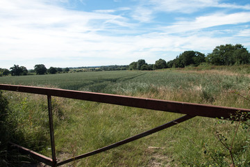 Gateway to a field of cereal crop