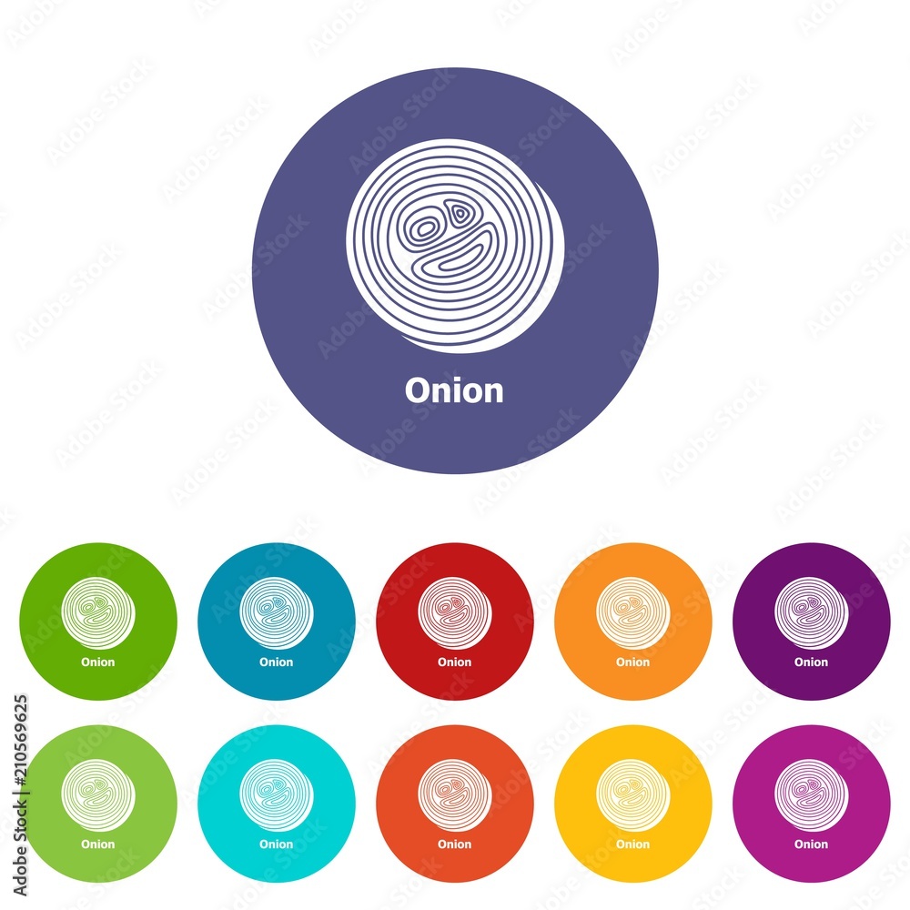 Poster onion icons color set vector for any web design on white background