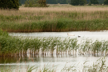 Coastal lagoons in Suffolk