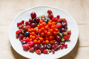 Strawberries, raspberries, red and black currants, cherry, rowan berries in a plate; harvested berries, food, health, vitamin concept