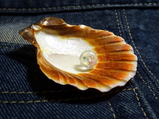 Round cockleshell on denim