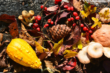 The beautiful autumn