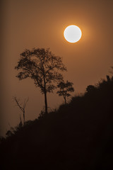 Obraz premium A sun is rising on top of mountain with big tree silhouette background