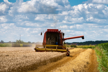 Red harvester cuts wheat in field