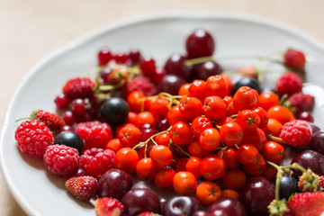 Strawberries, raspberries, red and black currants, cherry, rowan berries in a plate; harvested berries, food, health, vitamin concept