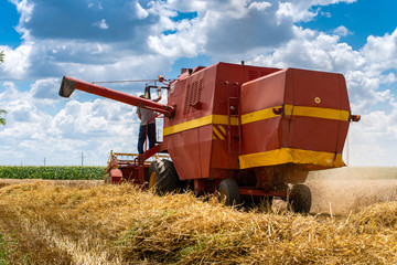 Red harvester cuts wheat in field