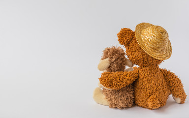 Friendship, teddy bear holding plush sheep in its arms, isolated