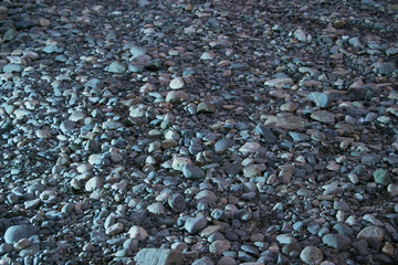 Black basaltic pebbles in a river bed