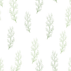 Vector seamless pattern with plants. Hand drawn botanical background