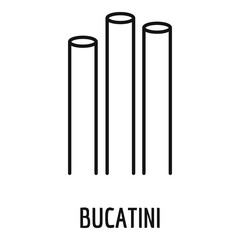 Bucatini icon. Outline bucatini vector icon for web design isolated on white background