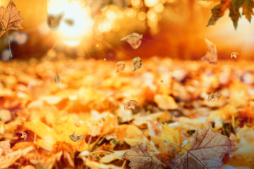 Naturlandschaft Herbst