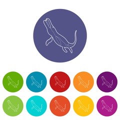 Underwater dinosaur icons color set vector for any web design on white background