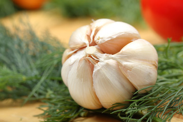 Garlic and fresh dill leaves close-up. Selective focus