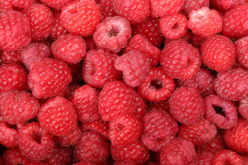 Juicy and fresh ripe raspberries close-up. Natural background