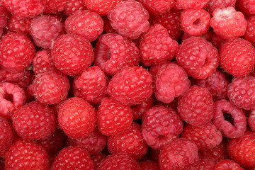 Juicy and fresh ripe raspberries close-up. Natural background