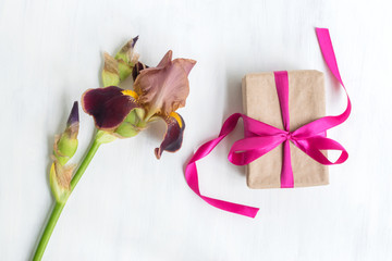 Gift box with iris flower