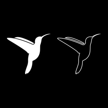 Hummingbird icon set white color illustration flat style simple image