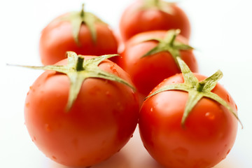 Tomatoes isolated on white. Tomato with drops