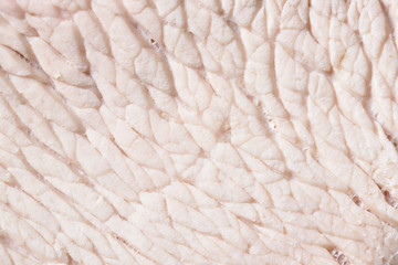 The texture of boiled turkey meat. Boiled turkey meat close-up