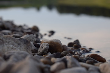 Wasser, Steine, Strand, Fluss, See, Fische, Tier, Kalt, Nass, 