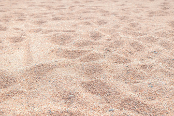 Sand background. Space for text. Free space.
