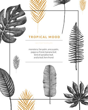 Vector contemporary greeting card with tropical graphics in vintage style. Hand drawn exotic plant template for birthday, business, anniversary, wedding, party invitation, holidays.