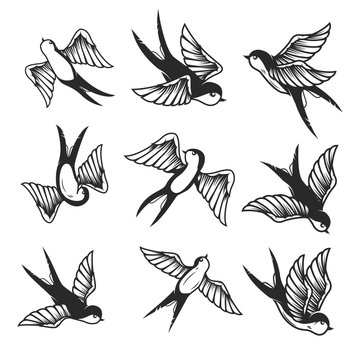 Set of swallow illustrations on white background. Design element or poster, card, print, emblem, sign.