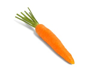 One Carrot on White Background