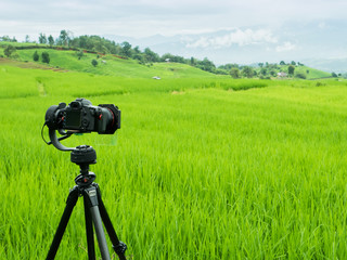 Rice terrace of green field under clear sky and moutain located at north of thailand