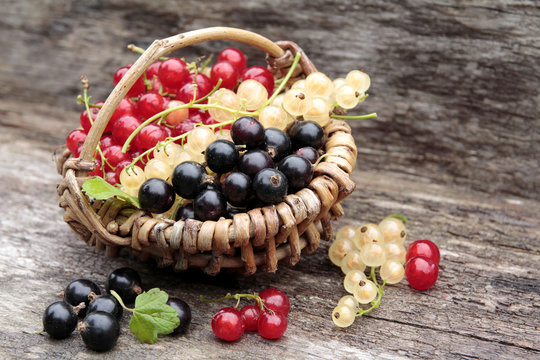 johannisbeeren