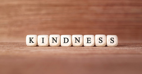 Word KINDNESS made with wood building blocks