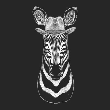 Zebra, Horse. Wild west. Traditional american cowboy hat. Texas rodeo. Print for children, kids t-shirt. Image for emblem, badge, logo, patch.