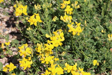 Spring Comes To Pylypow Wetlands, Edmonton, Alberta