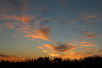 Fototapeta na wymiar Sunset Colours Over The Tree Line, Pylypow Wetlands, Edmonton, Alberta