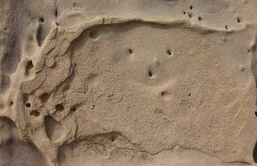 Background stone sandstone, processed by sea waves and rain.