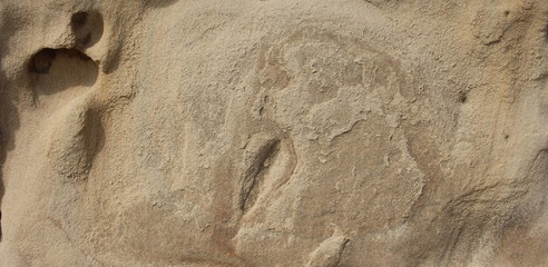Background stone sandstone, processed by sea waves and rain.