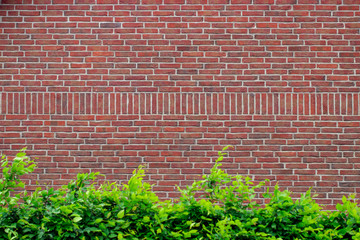 Grunge red brick wall background with copy space