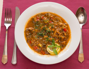 soup with meat and vegetables