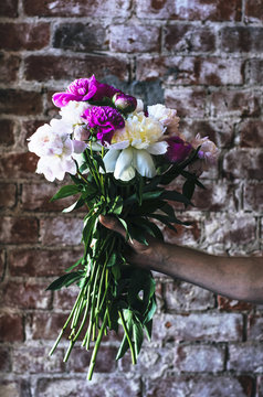 Bunch of peonies in man's hand against brick wall