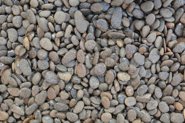  Pebbles and small stones for garden decoration