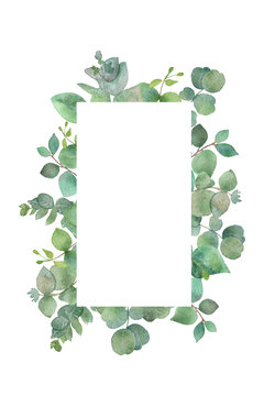 Fern leaf frame on white background