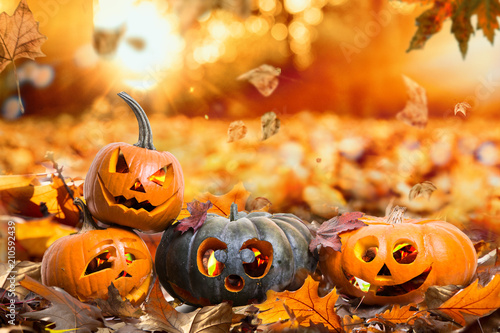 HerbstHintergrund Natur Halloween Kürbisse